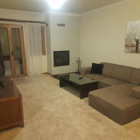 Appartement Blue Ρικεα à Arachova Extérieur photo
